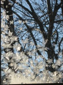 IMG_0929 window frost